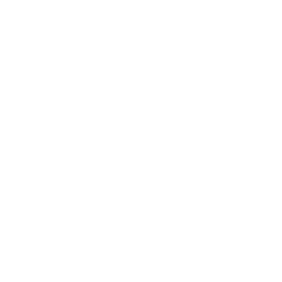 Twitter / X